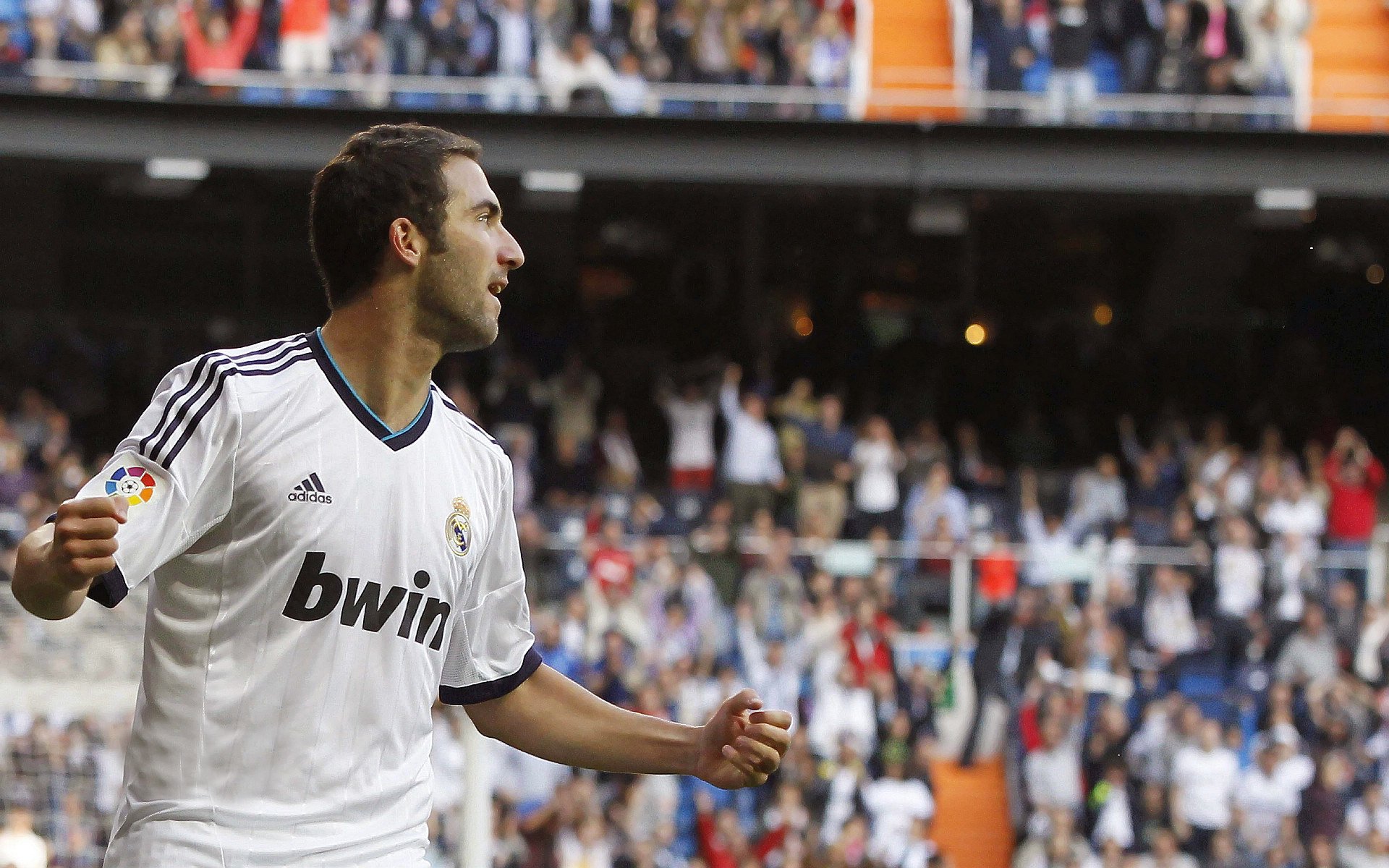 “足球场馆引入绿色节能技术,环保先行”,设计足球场如何节约城市空间